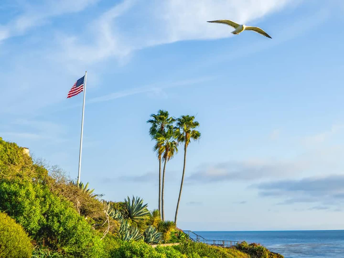 Botox Injections treatment in Solana Beach