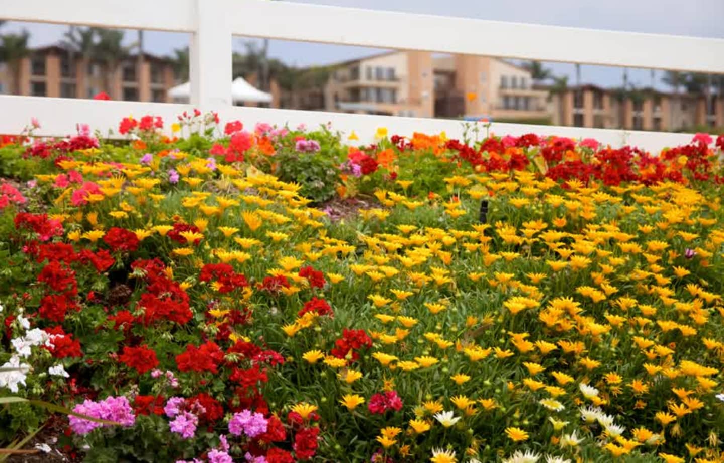 Carlsbad - Call of Beauty Med Spa service area