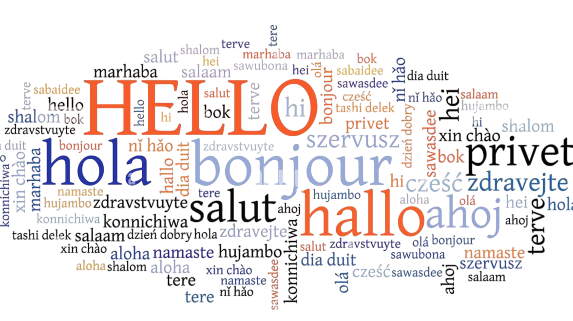 Multi-Language AI Support