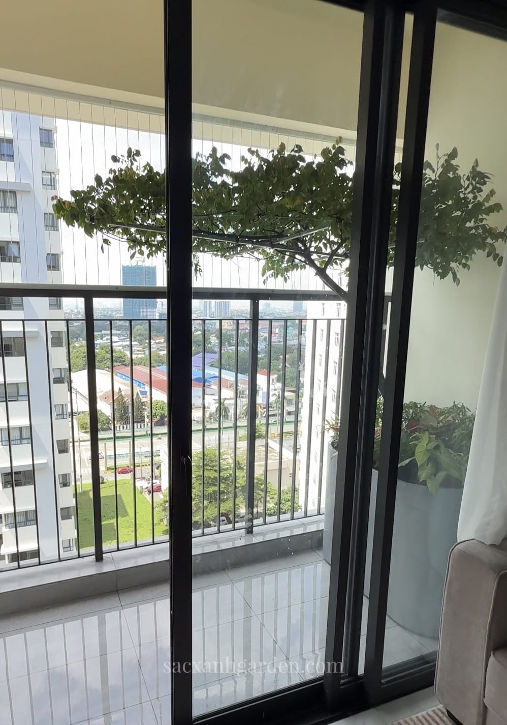 Nhìn từ trong phòng khách ra ban công, tán khế bàn trà che bớt nắng chiếu qua cửa kính