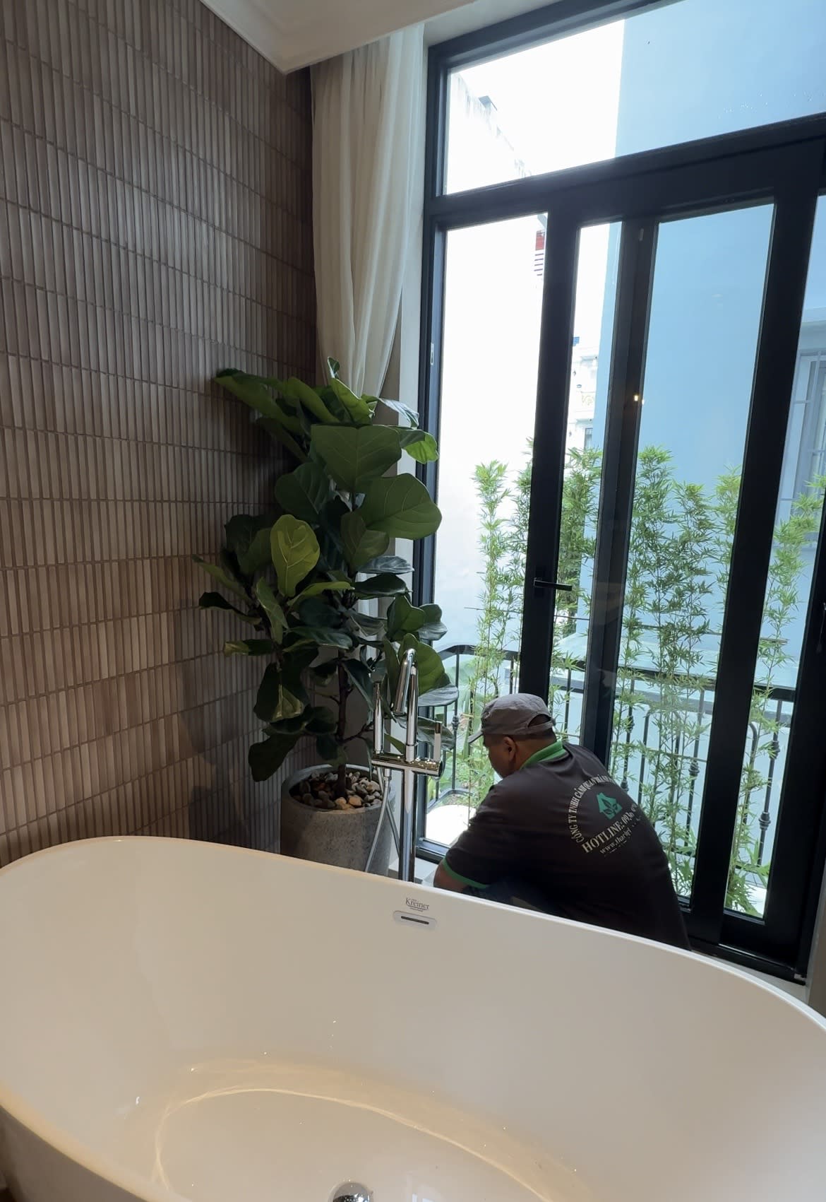 Ảnh cây văn phòng ở hero