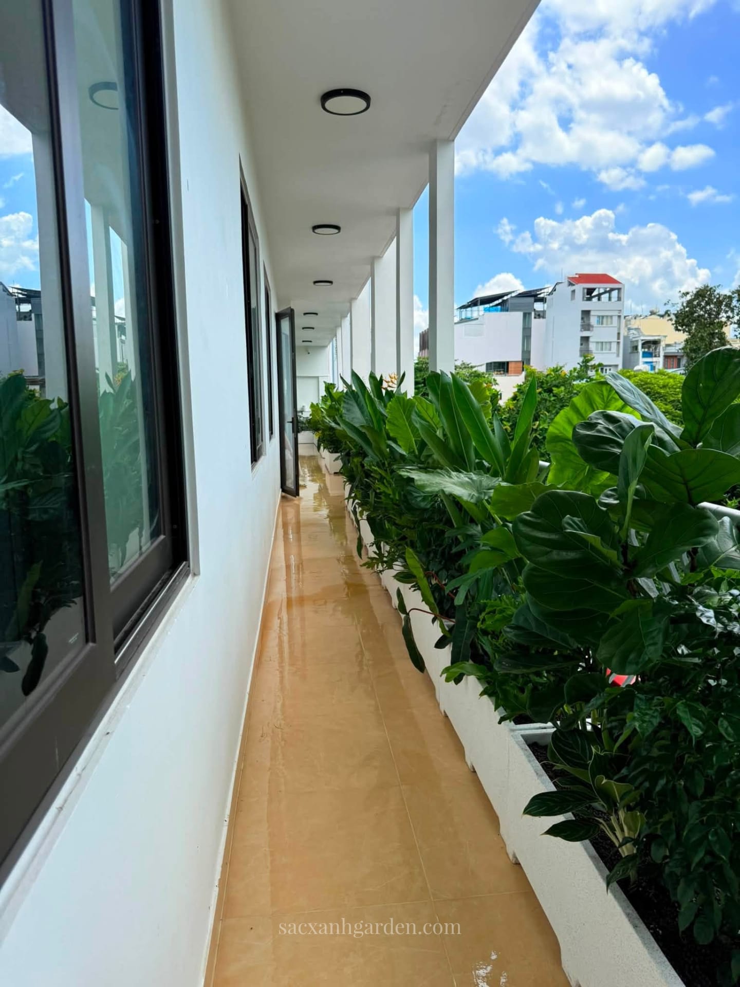 Dãy cây ban công nhà phố quận 10