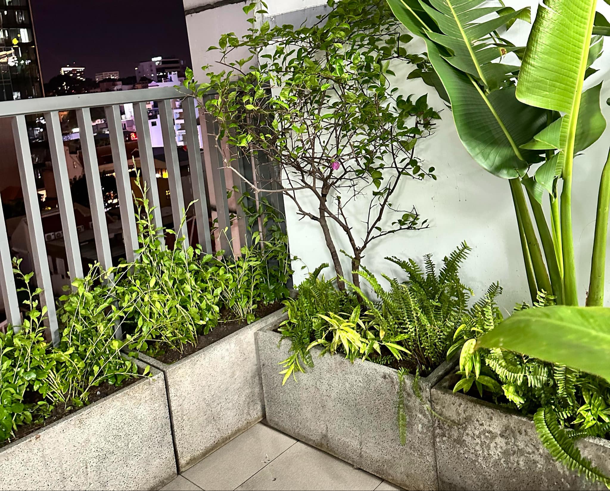 Ban công hướng Tây với các loại cây trang trí chịu nhiệt, giữ không gian luôn mát mẻ.
