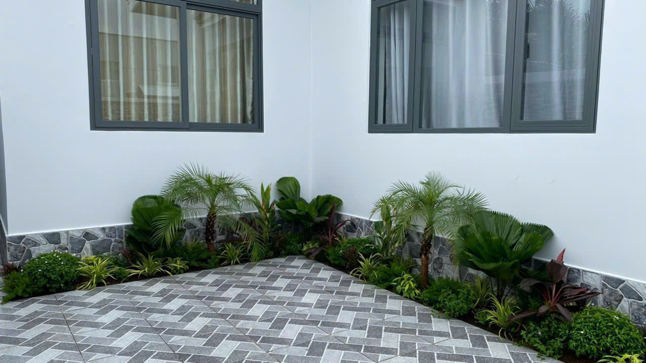 Sắp xếp cây cảnh hợp phong thủy trong nhà giúp thu hút tài lộc và cân bằng năng lượng sống