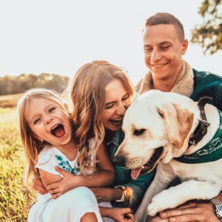 Our top things to do on holiday with your dog image