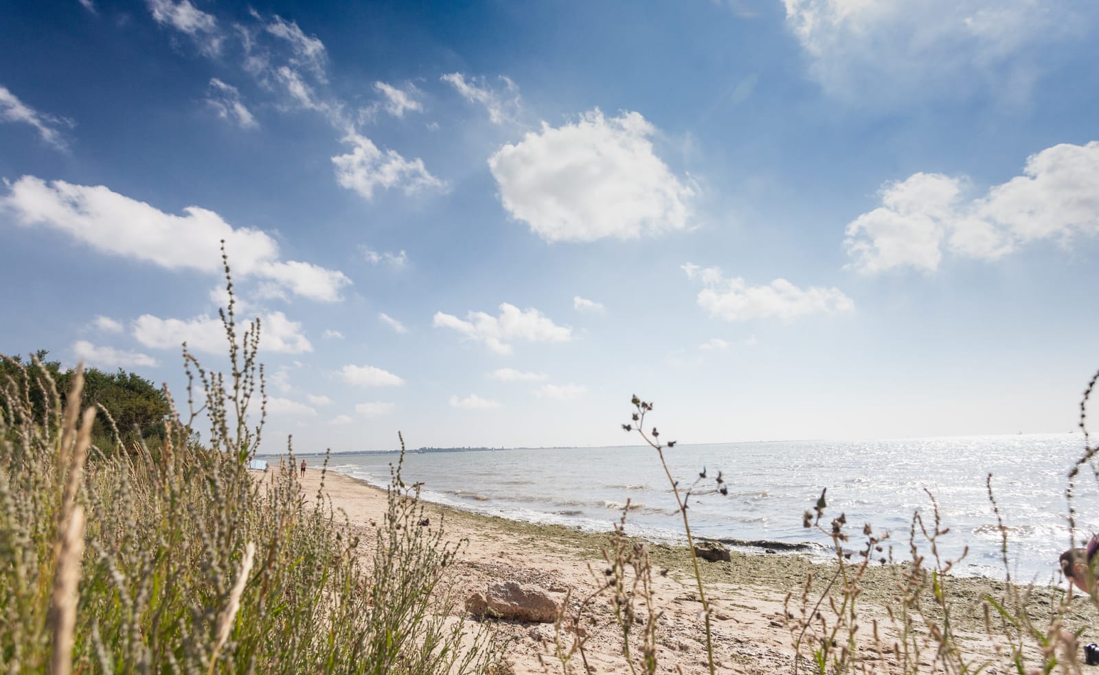 A hot summers day at the beach on Mersea Island, Essex. Book your caravan holiday with us. image