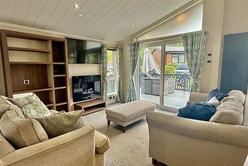 New Forest Grove image