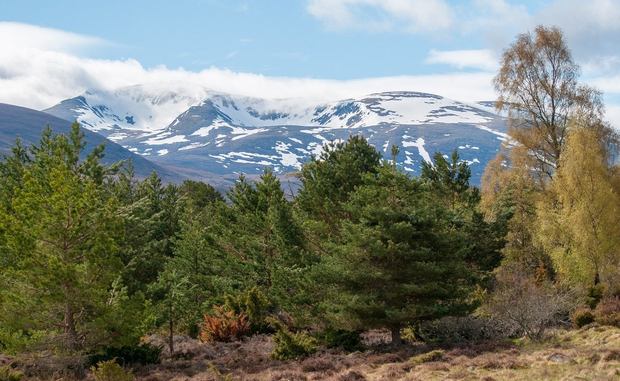 Cairngorms National Park image