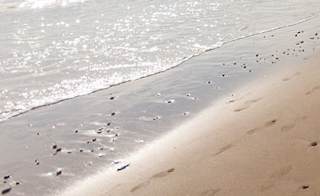 West Bay image