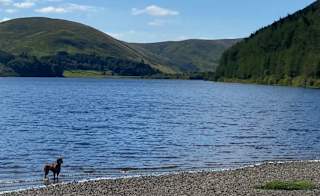 Dumfries and Galloway image