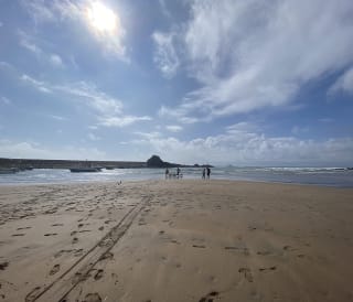Dog friendly beaches in Bude