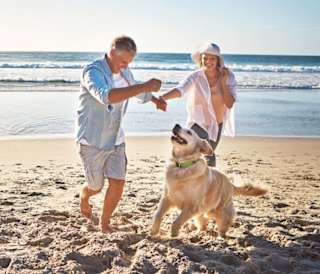 Dog Friendly Holidays