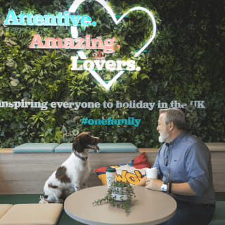 Welcoming Furry Friends to the Ultimate Staycation Experience! image
