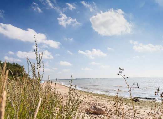 Mersea Island beach views