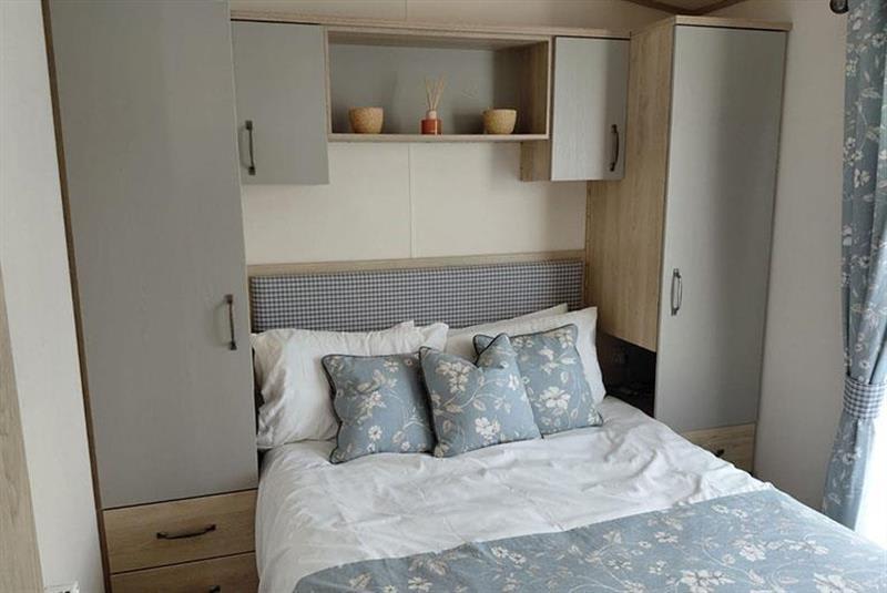 Bramshaw III XL image