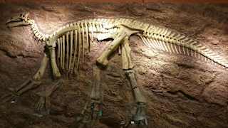 Dinosaur Isle