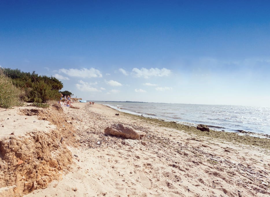 A hot summers day at the beach on Mersea Island, Essex. Book your caravan holiday with us. image