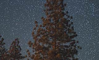 Christmas Eve Stargazing image
