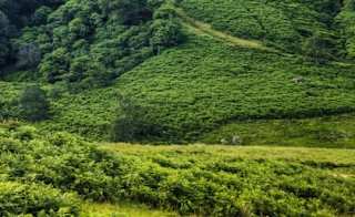 12. Nant Gwynant – King Arthur image