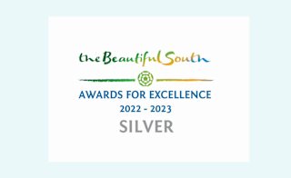 Beautiful South Awards image