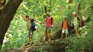 Three young children, hold hands as they walk across a fallen tree trunk in the woods.