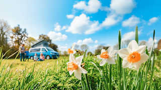 Spring Breaks at Away Resorts image