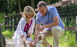 A mature man and woman are petting a light brown and white fluffy dog. Both the man and woman are kneeling down and smiling. image