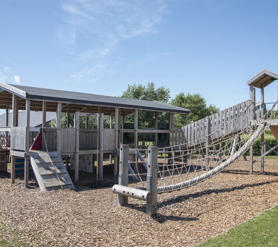 Play Area image
