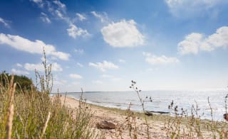 A view of the beach through some long grass at Mersea Island, Essex. image