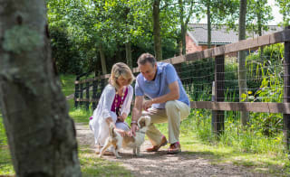 Dog friendly escape image