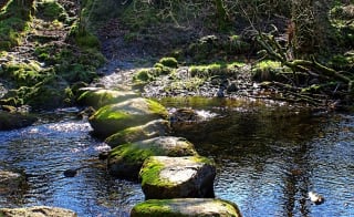 River Witham South Walk image