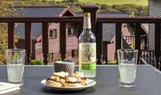 Superior Wooden Lodge image