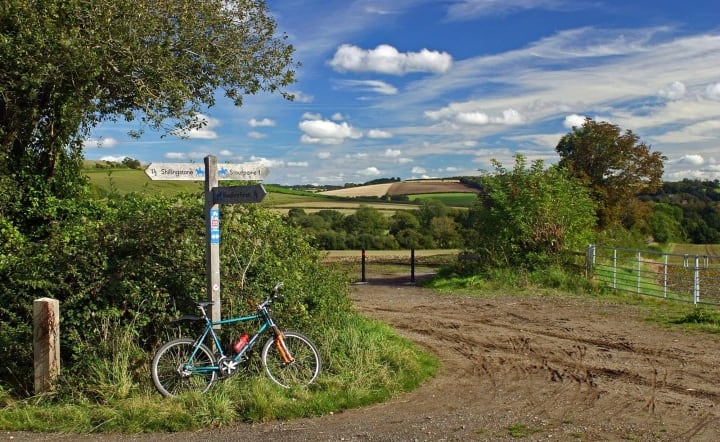 North Dorset Trailway image