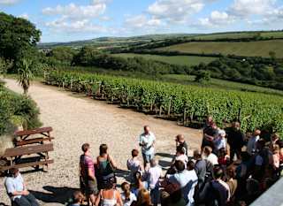 The Camel Valley Tour image