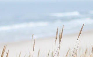 Porthdinllaen, Llyn Peninsula image
