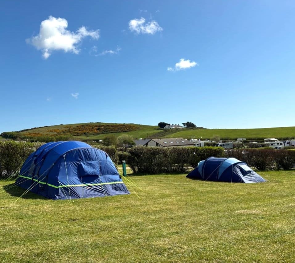 Grass Electric Pitch image