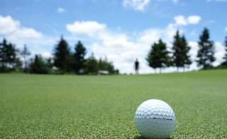 Stoneham Golf Course image
