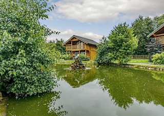 Birch waterside view