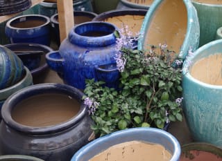 Spalding Farm Shop image