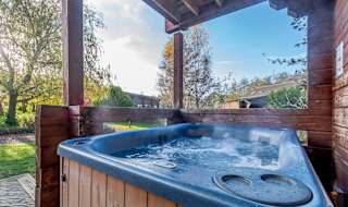 Birch Lodge image