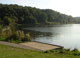 Vicar water country park image