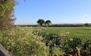 Thorpe on the Hill Walk image