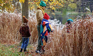 Family holidays image