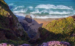 Tregardock Beach image