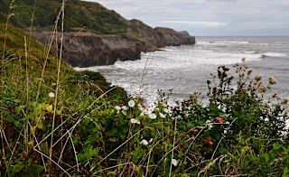 The East coast image
