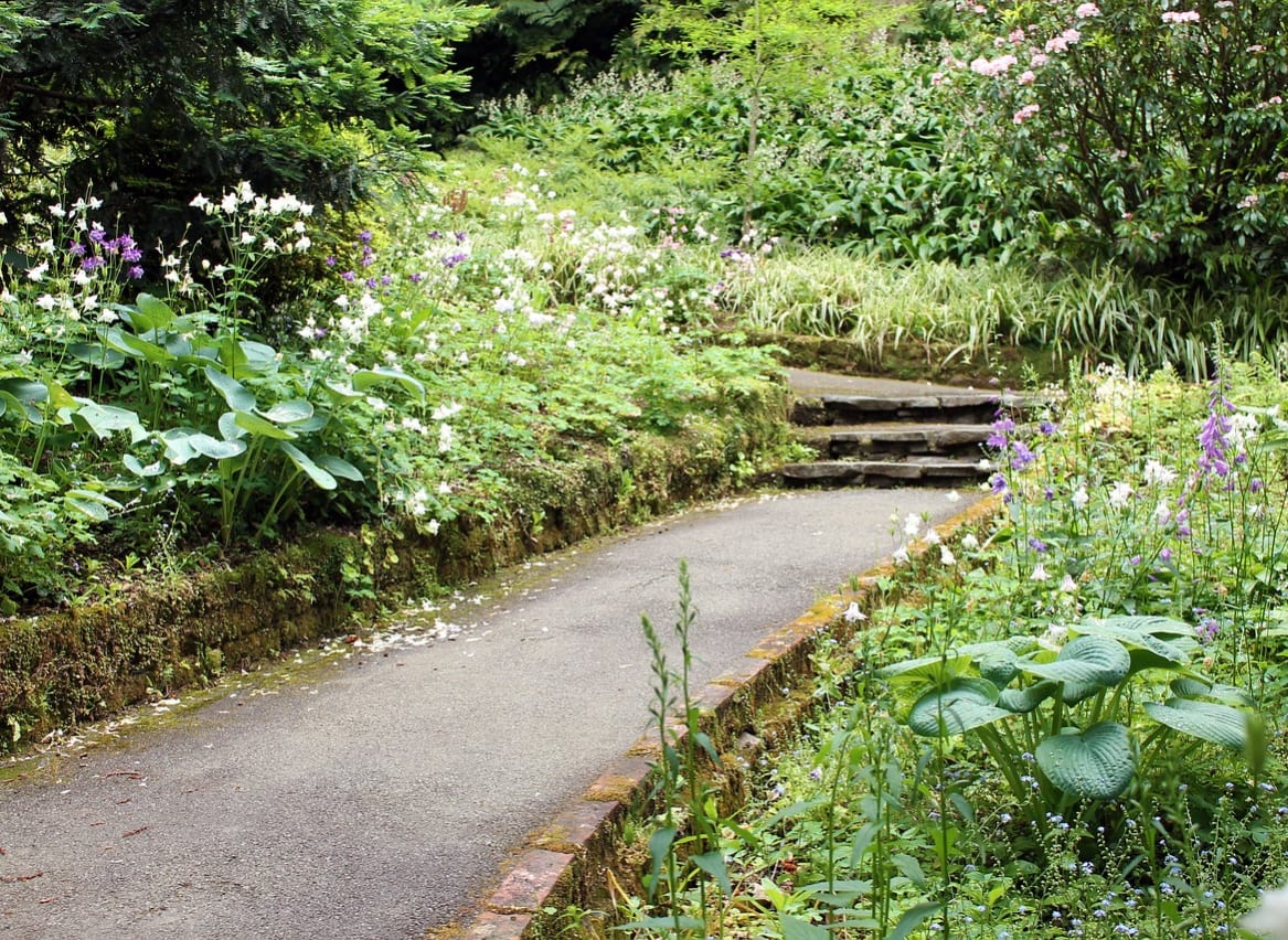 Trerice House and Gardens image