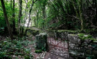 Farchynys image