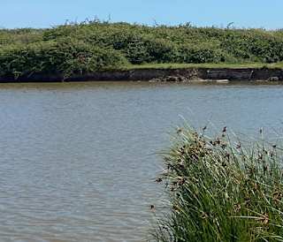 Fishing Lake