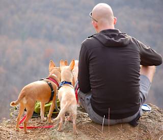 Things to do in North Wales with dogs