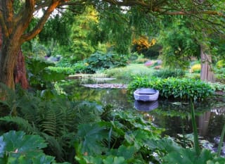Beth Chatto Gardens image